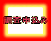 �����\����